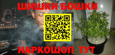 гашик Берёзовский