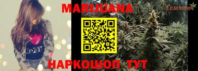 гашик Берёзовский