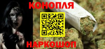 крисы Бийск