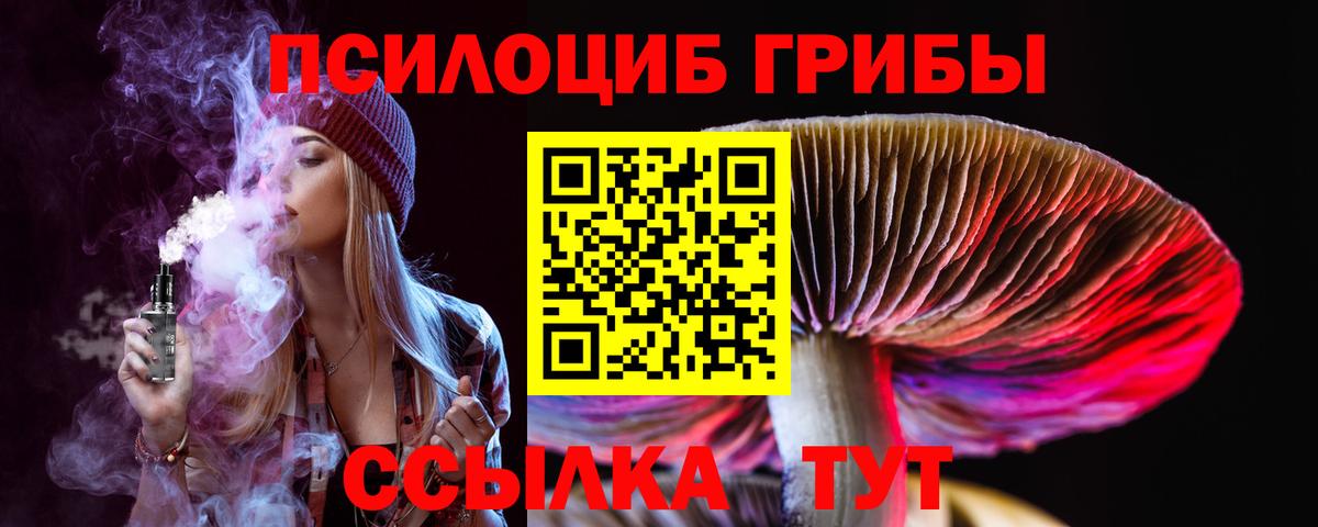Качканар  Галлюциногенные грибы Psilocybe  Вход с VPN  как найти закладки  Псилоцибиновые грибы мицелий 